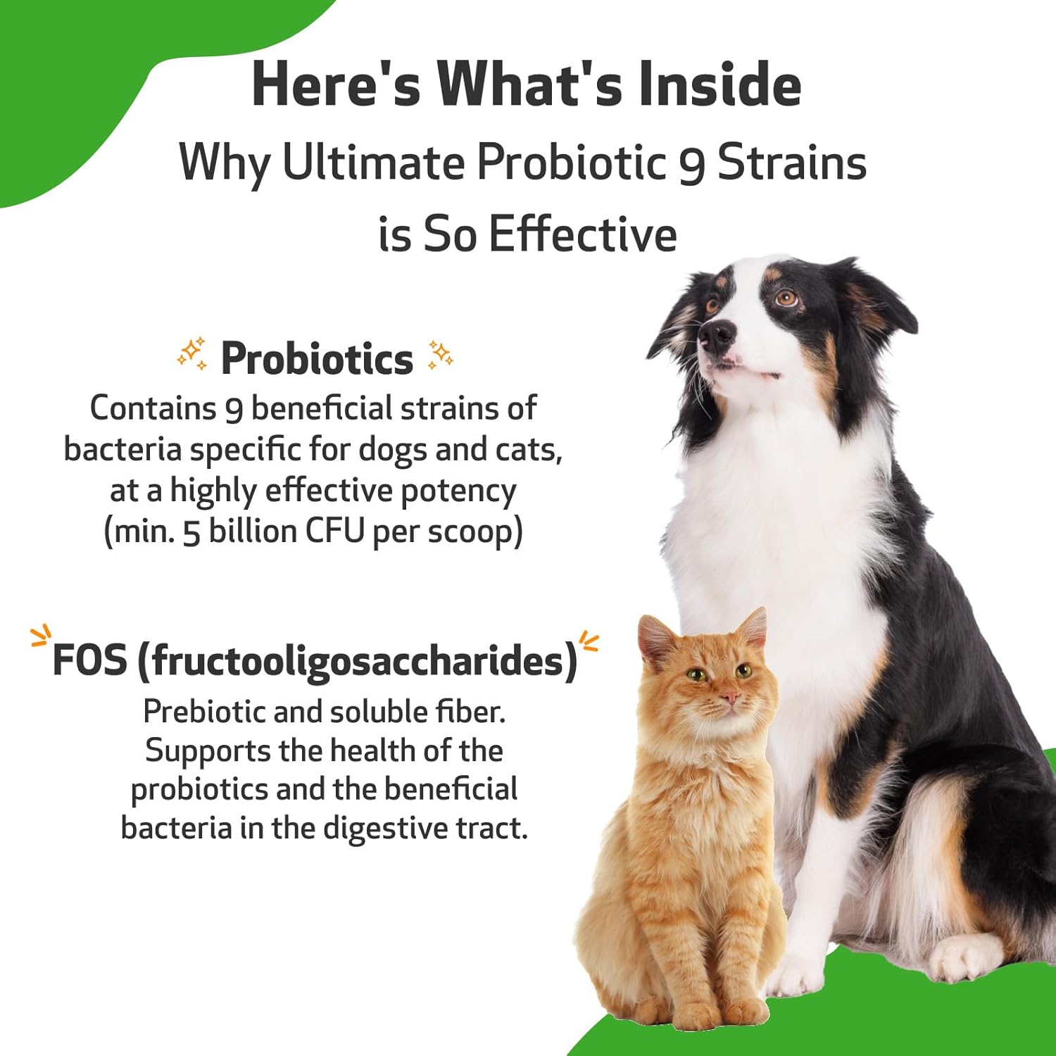 Pet Wellbeing - Ultimate Probiotic 9 Strains for Cats and Dogs - Natural Support for Digestion and Urinary Tract Health 160 Grams. : Pet Supplies