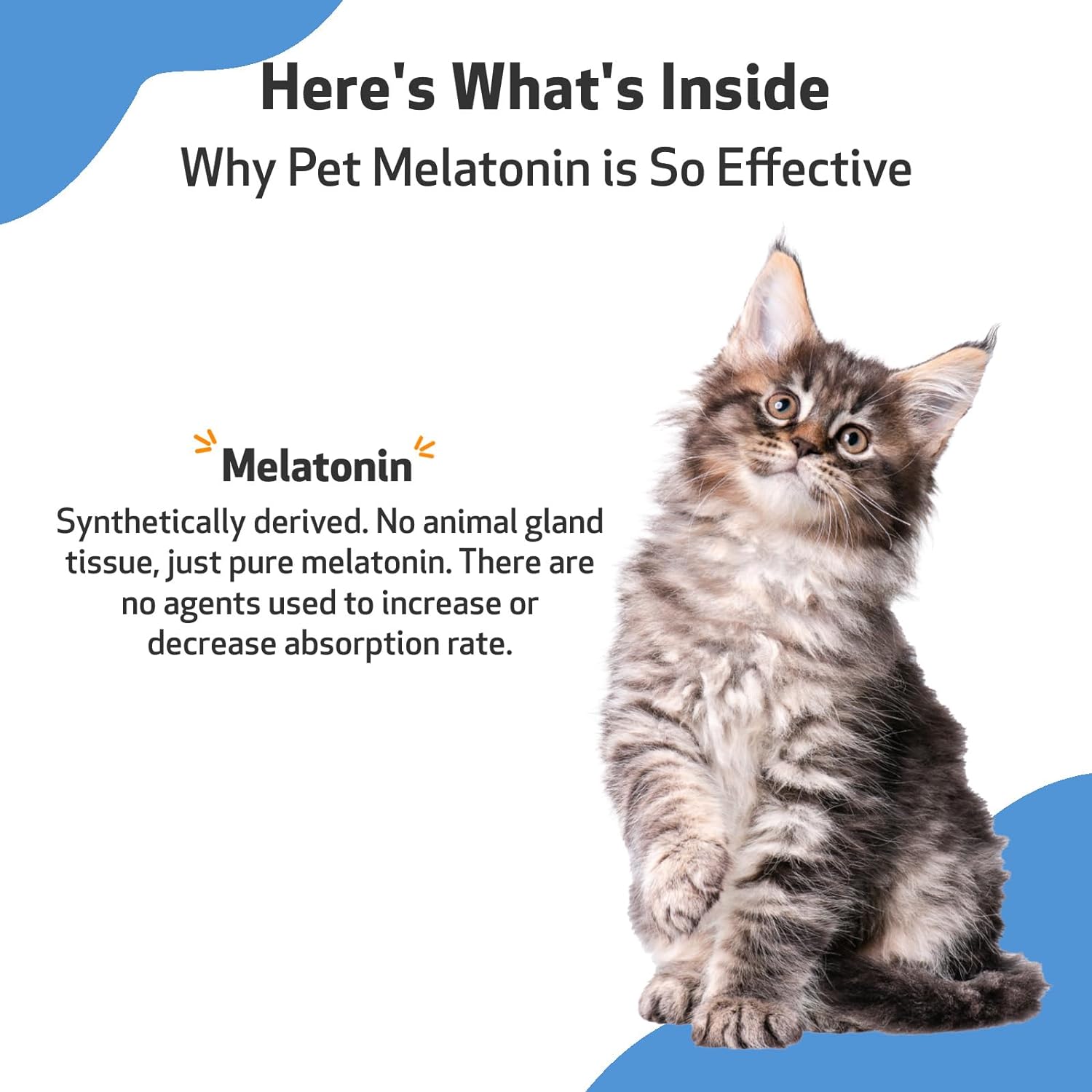 Pet Wellbeing Pet Melatonin for Cats - Vet-Formulated - Support for Feline Hyperthyroid, Natural Relaxant, Sleep Support - Liquid Supplement 2 oz (59 ml) : Pet Supplies