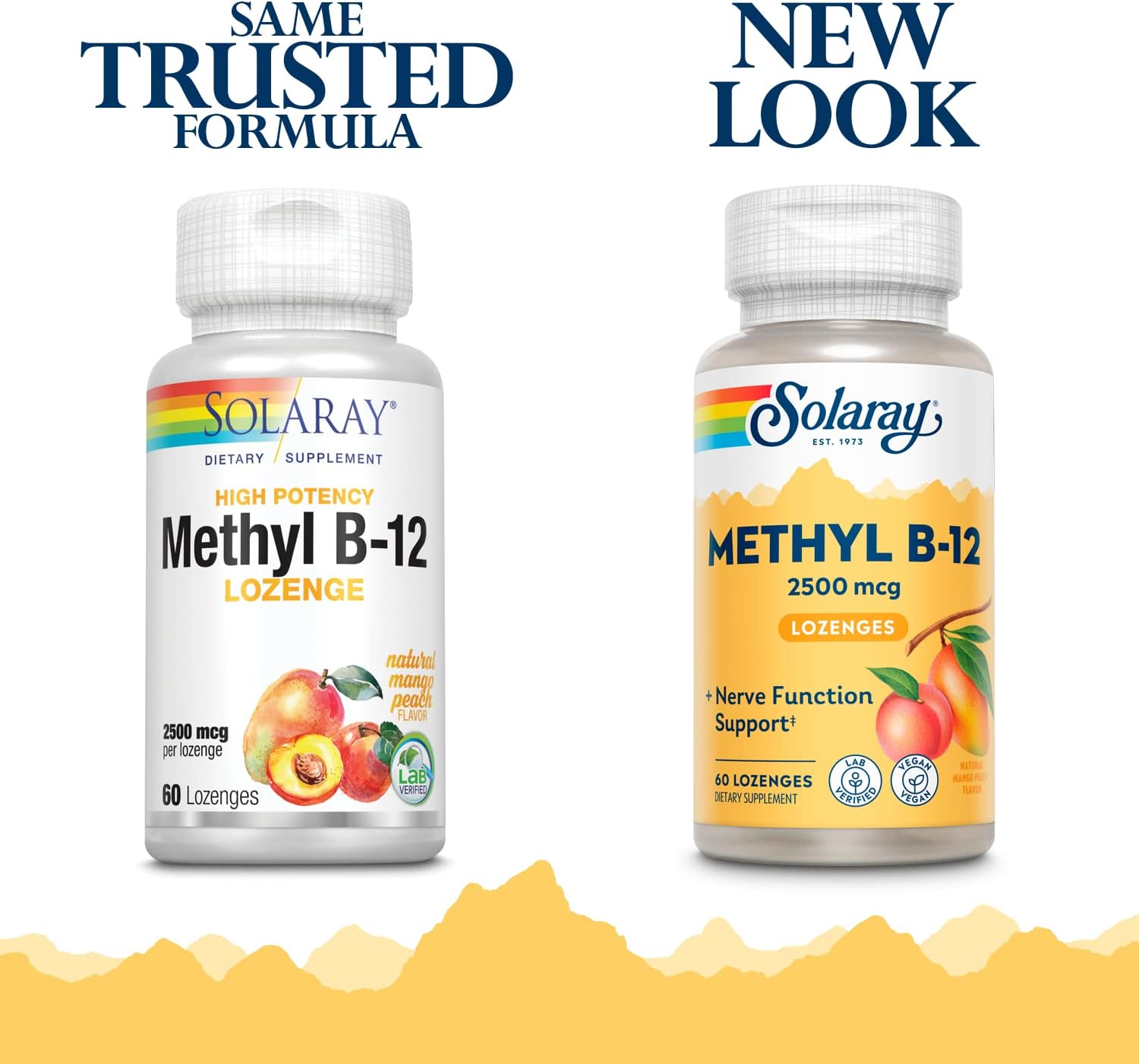 SOLARAY B 12 Methyl Lozenge Supplement, 2500mcg | 60 Count : Everything Else