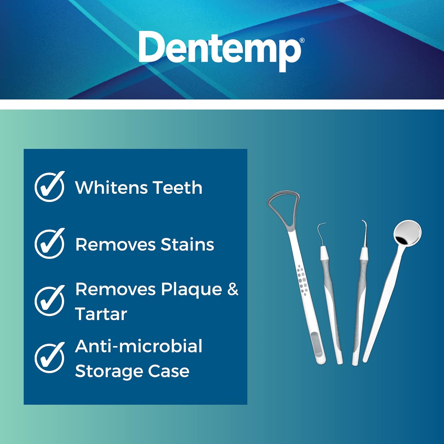 Dentemp Oral Care Kit – 4 Professional Quality Dentals Tools : Health & Household