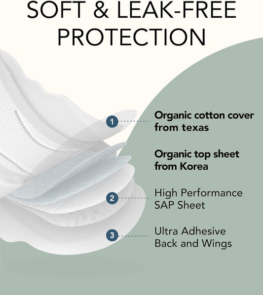 Ultra Thin Sanitary Pads (Large, 28 Count) - 100% Organic Cotton Cover with Wings for Women. Unscented, Leak-Free. Maxi Size for Ultra Absorption, Heavy Flow