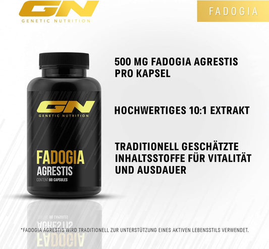 Gn Laboratories Fadogia Agrestis (60 Capsules) - Traditional Healing Power In Each Capsule - 500 Mg Pure Extract Per Capsule - Made In Germany