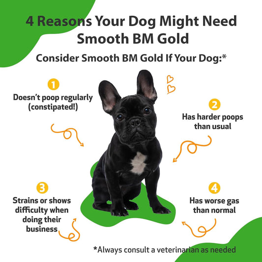 Pet Wellbeing Smooth Bm Gold For Dogs - Vet-Formulated - Gentle Constipation Relief For Canines - Natural Herbal Supplement 2 Oz (59 Ml)