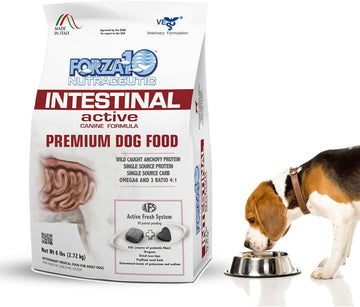 Forza10 Active Dry Intestinal Dog Food, Gastrointestinal Dog Food, Digestive And Intestinal Diet Dry Dog Food For Adult And All Breeds (6 Pounds)