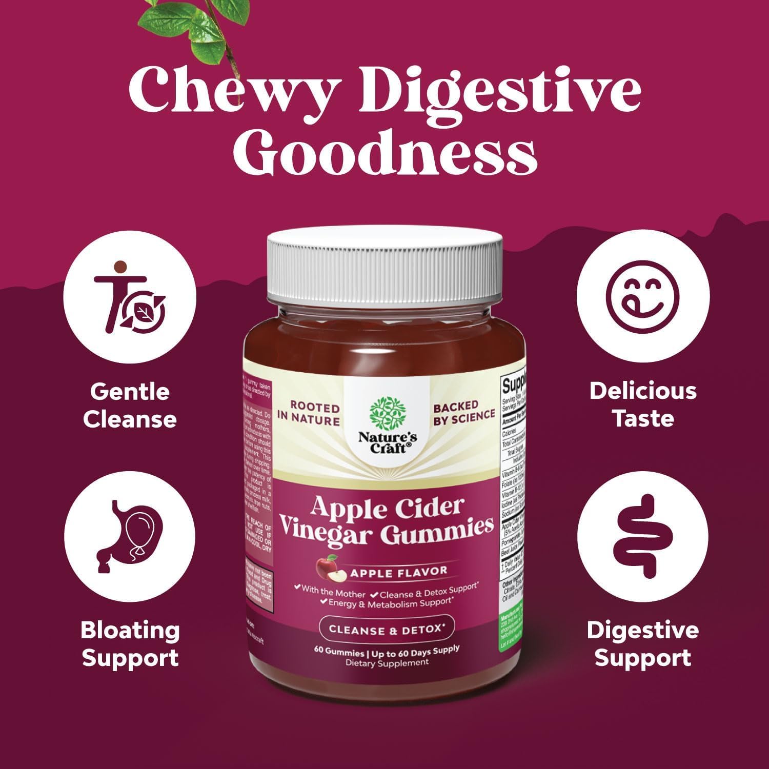 Apple Cider Vinegar ACV Gummies - Gut Health & Natural Energy Supplement with Vitamin B6 B12 Beet Root and Pomegranate - Apple Cider Vinegar with Mother Body Cleanse Detox for Women & Men 60 Servings : Health & Household