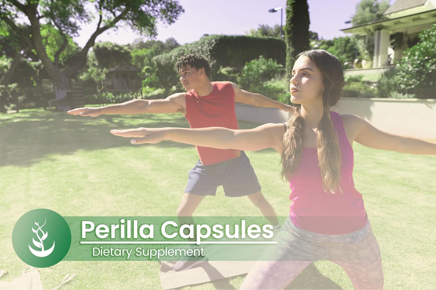 PURE ORIGINAL INGREDIENTS Perilla, (100 Capsules) Always Pure, No Additives or Fillers, Lab Verified : Health & Household