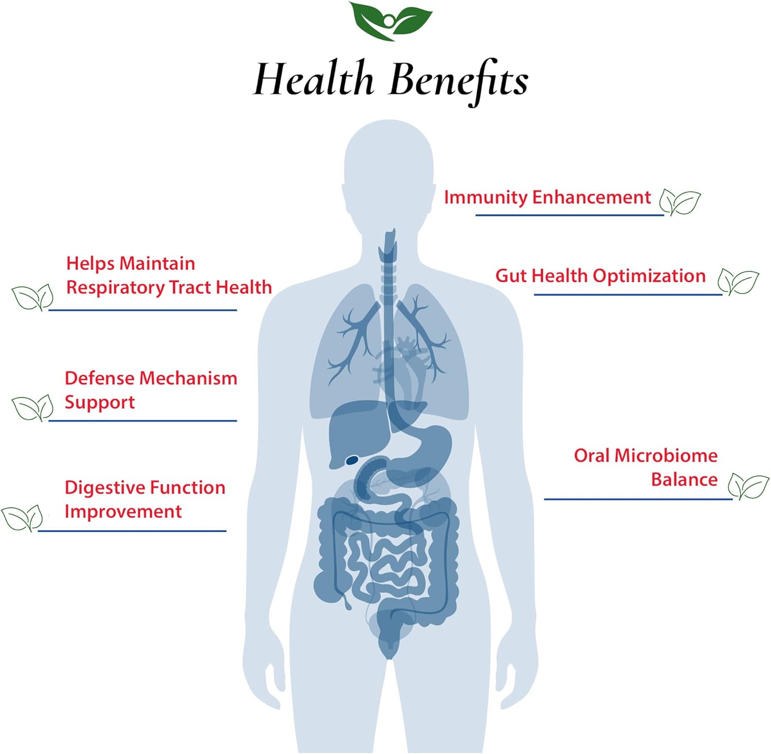 Lactobacillus Salivarius 300 Billion Cfu'S + 4 Strain Probiotic Capsules 60 Billion Cfu'S | Bundle & Save | L. Salivarius Powder No Additives | Digestive & Immune Support | Made In Usa | High Potency : Health & Household