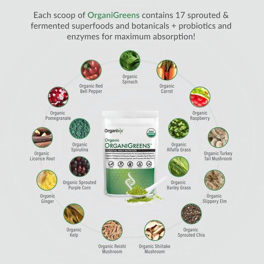 Organixx Greens Superfood Powder With Probiotic Digestive Enzymes, Gluten Free, Vegan, Daily Super Greens Powder Supplement Drink Mix For Gut Health, Immune Support & Energy, Organic, Non Gmo, 10 Oz