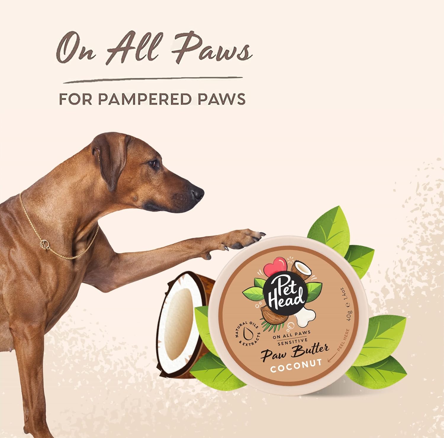 PET Head On All Paws Coconut Paw Butter 1.4 oz. Nourishing Paw Balm, Moisturizes Paws and Noses to Leave Them Soft and Crack-Free, Lickable, Gentle Formula for Puppies. Made in USA : Everything Else