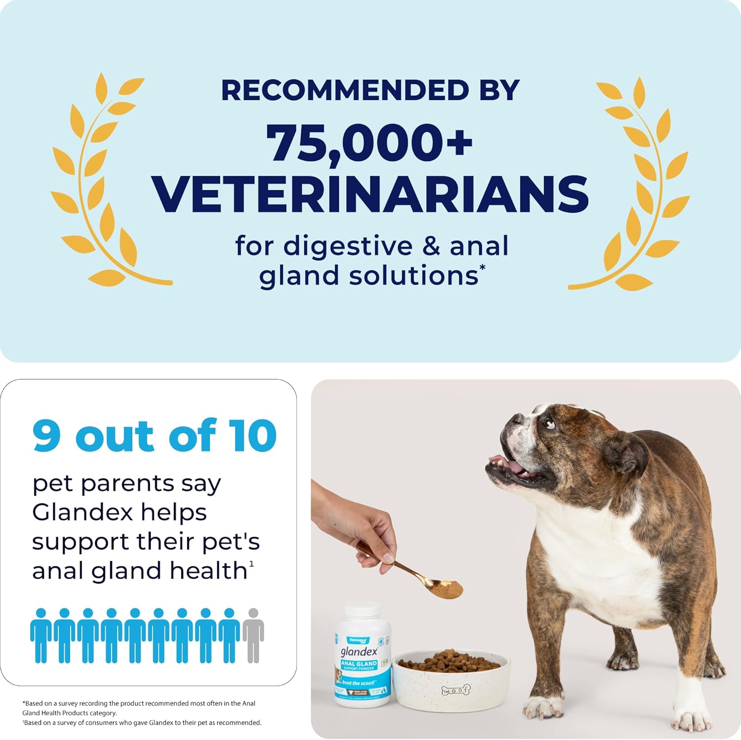 Glandex Dog Fiber Supplement Powder for Anal Glands with Pumpkin, Digestive Enzymes & Dog Probiotics for Digestive Health - Vet Recommended - Boot The Scoot (Beef Liver, 5.5oz Powder) : Pet Bone And Joint Supplements : Pet Supplies