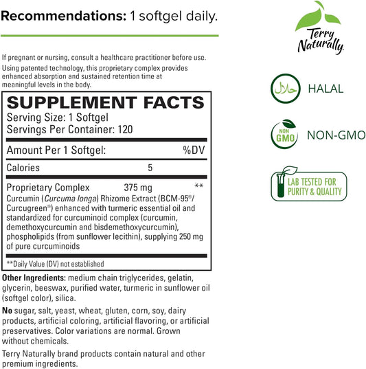 Terry Naturally CuraMed 375 mg Curcumin Complex - 120 Softgels - Superior Absorption BCM-95 - Non-GMO, Gluten Free, Halal - 120 Servings