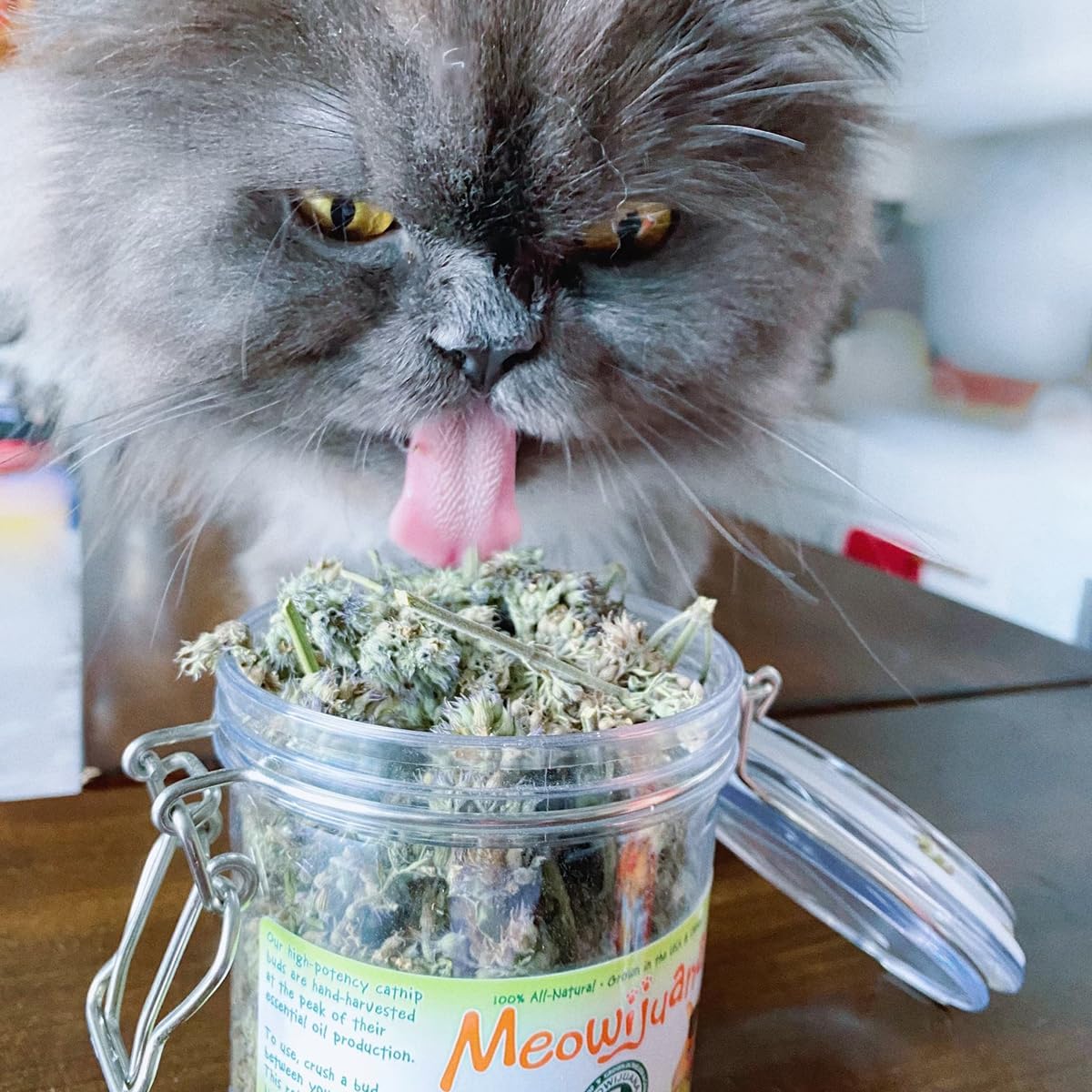 Meowijuana | Dried Premium Catnip Buds | Organic | High Potency Cat Treats | Perfect for Cat Toys | Grown In the USA | Feline and Cat Lover Approved : Pet Supplies