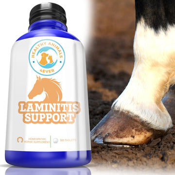 HealthyAnimals4Ever All-Natural Horse Laminitis Support - Horse Hoof Care Products for Damaged or Injured Hooves - Hoof Supplements for Horses - Homeopathic & Highly Effective - 300 Tablets