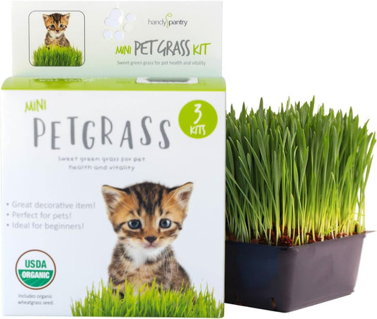 Organic Cat Grass Kit - Includes 3 Trays, Soil Pucks, And 3 Packs Non Gmo Wheatgrass Seed - A Healthy Treat For Cats, Dogs, Rabbits, More