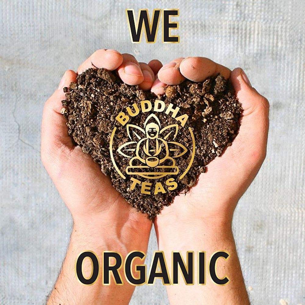 Buddha Teas Organic Skullcap Tea - Ou Kosher, Usda Organic, Ccof Organic, 18 Bleach-Free Tea Bags : Herbal Teas : Grocery & Gourmet Food