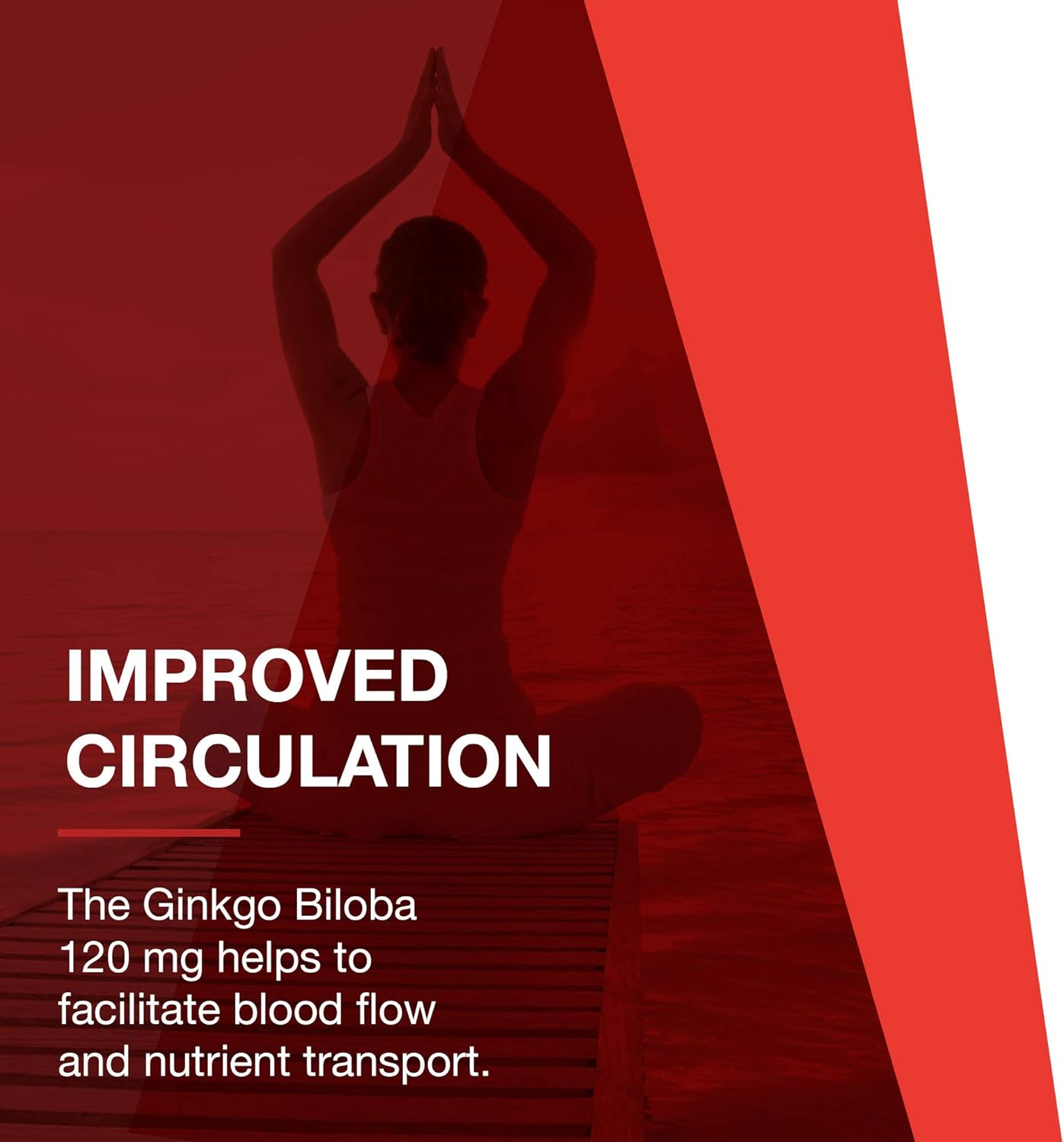 Protocol Ginkgo Biloba with Eleuthero Herbal Supplements - Circulation, Brain Support - 100 Veg Caps : Health & Household