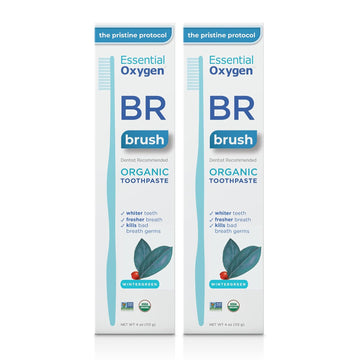 BR Organic Low Abrasion Toothpaste Wintergreen (2 Count)