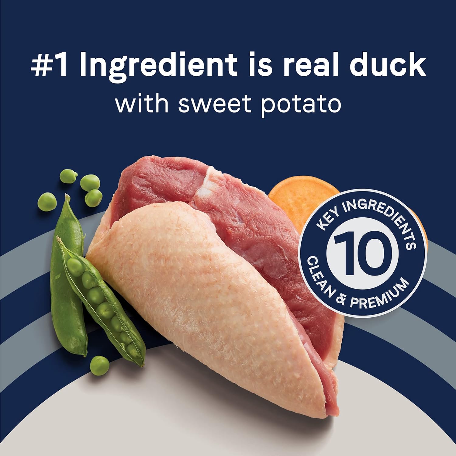 Canidae Pure Real Duck & Sweet Potato Recipe Adult Dry Dog 22 LB : Pet Supplies