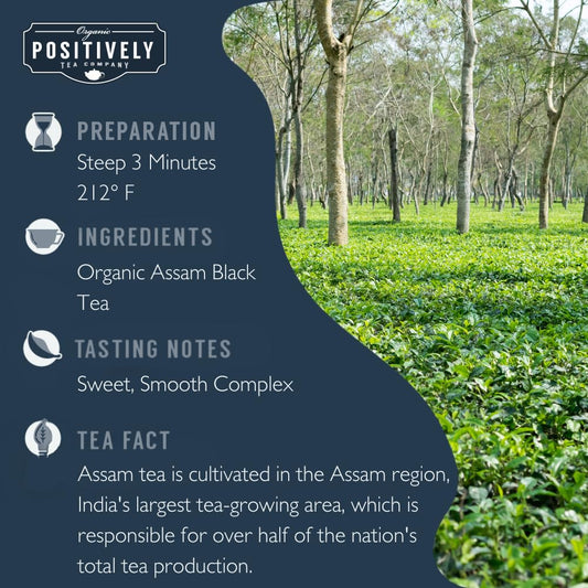 Organic Positively Tea Company, Assam Tgfop Black Tea, Loose Leaf, 16 Ounce
