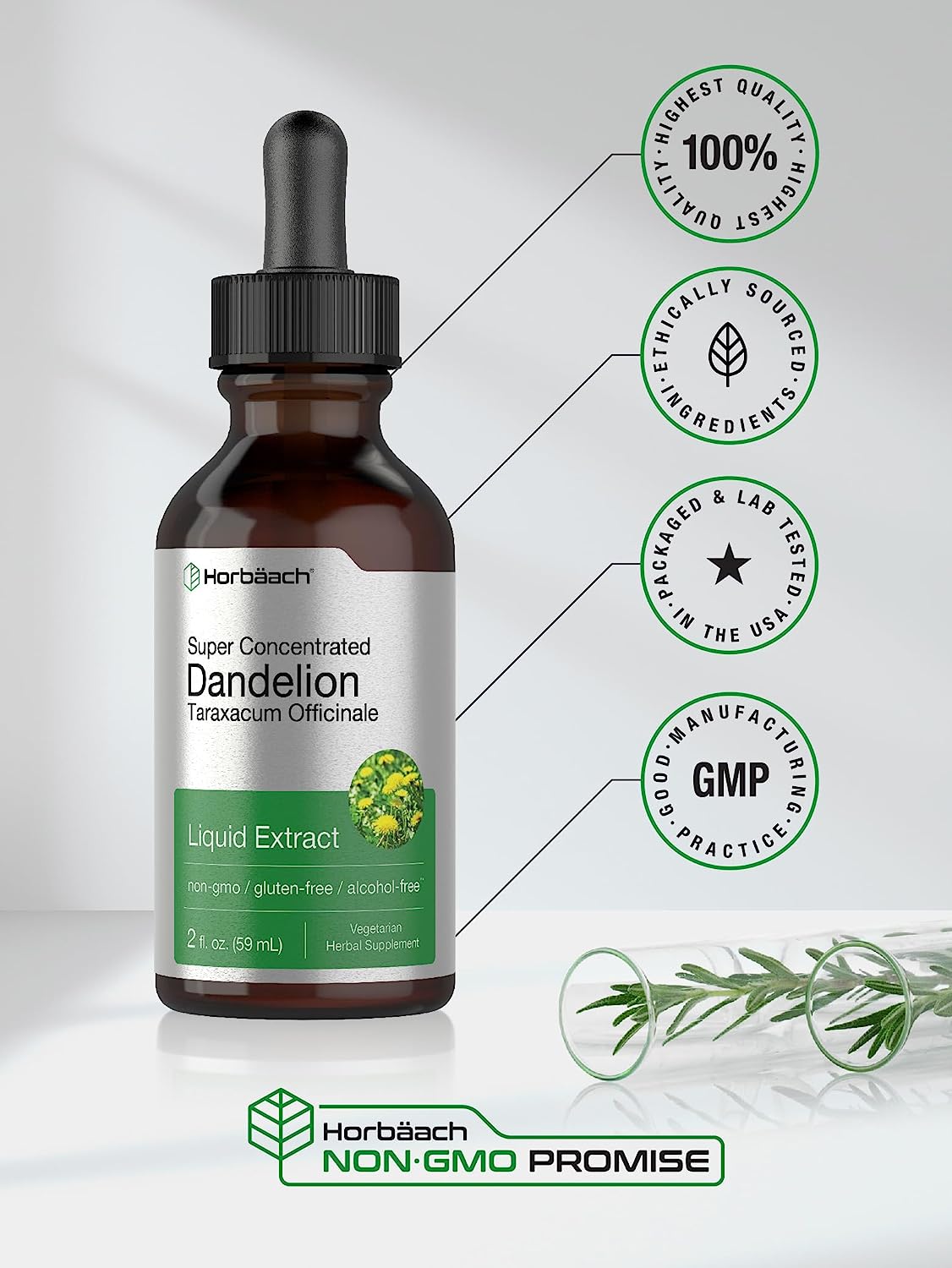 Horbäach Dandelion Root Extract | 2 fl oz | Super Concentrated | Alcohol Free Liquid Tincture | Vegetarian, Non-GMO, Gluten Free : Health & Household