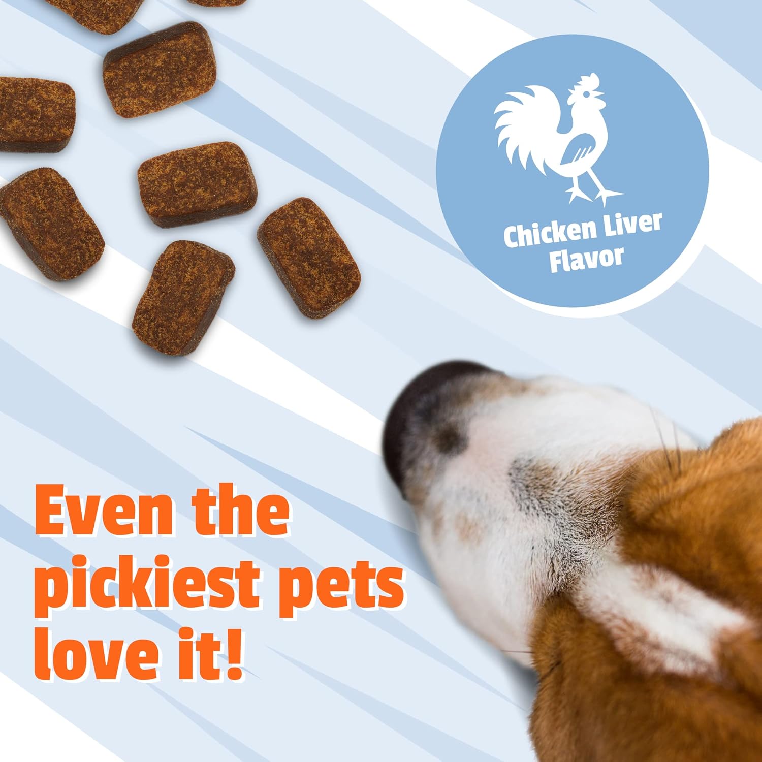 Pet Naturals of Vermont - Calming, Behavioral Support Supplement for Dogs and Cats, 160 Bite Sized Chews : Pet Supplies