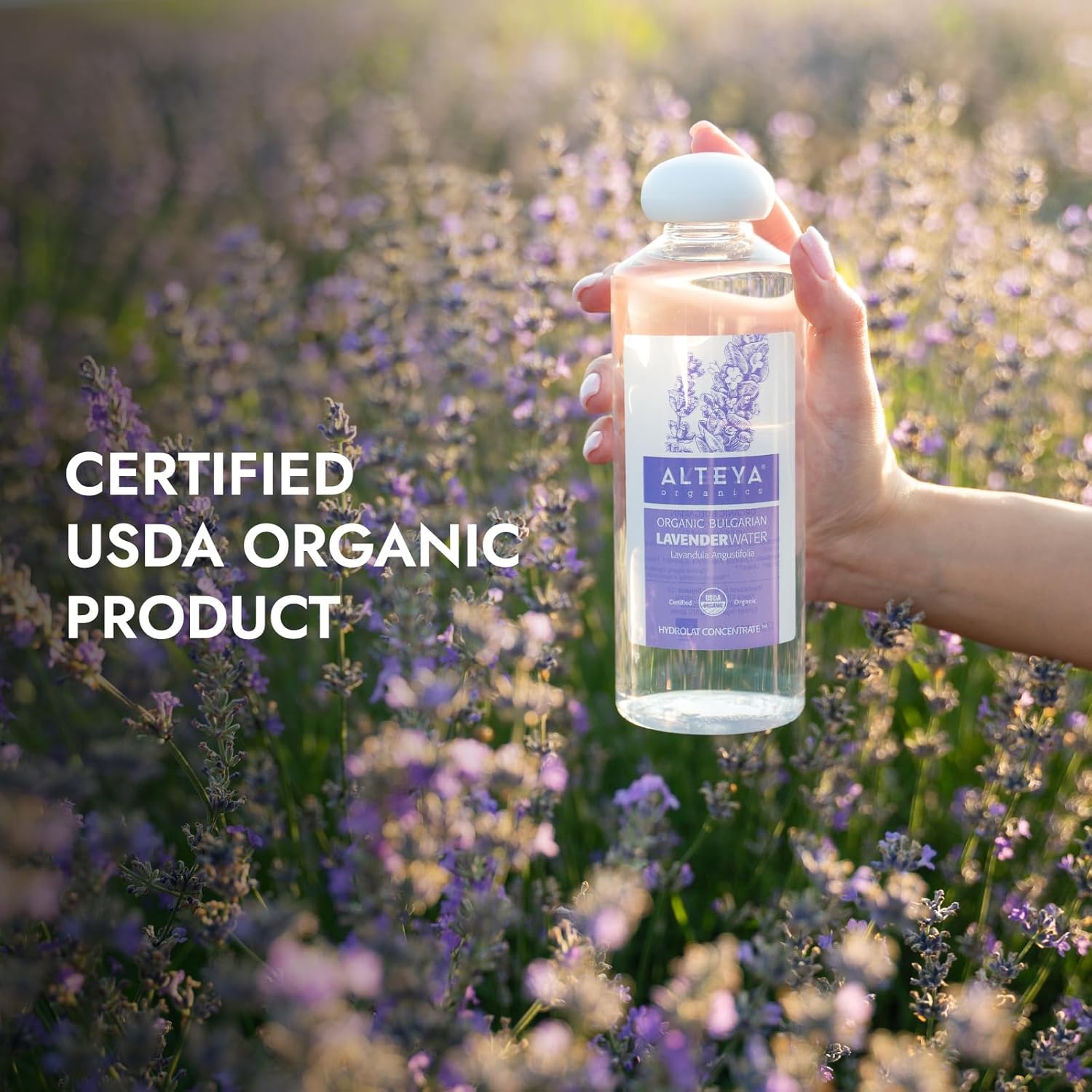 Alteya Organics Lavender Water Usda Certified Organic Facial Toner, 2 Fl Oz/60Ml Pure Bulgarian Lavandula Angustifolia Flower Water, Award-Winning Moisturizer Amber Glass Spray Bottle : Health & Household