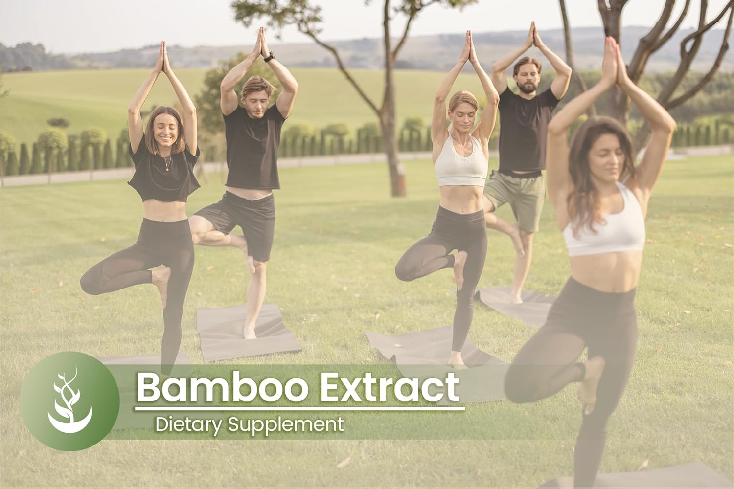 Pure Original Ingredients Bamboo Extract, (100 Capsules) Always Pure, No Additives Or Fillers, Lab Verified : Health & Household