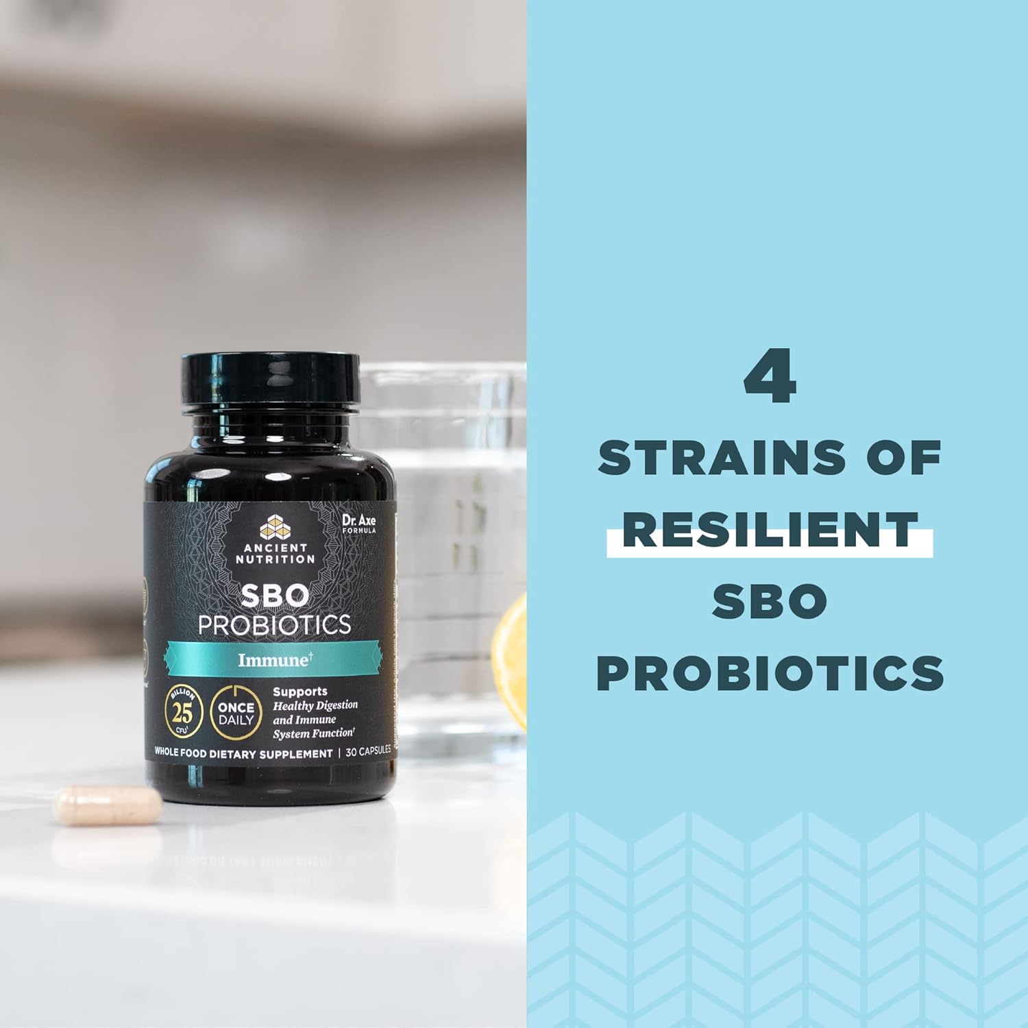 Ancient Nutrition Probiotics For Women, Sbo Probiotics Women'S 60Ct, Digestive And Immune Support, Bloating Relief For Women, Gluten Free, Superfoods Blend, 25 Billion Cfus* : Health & Household