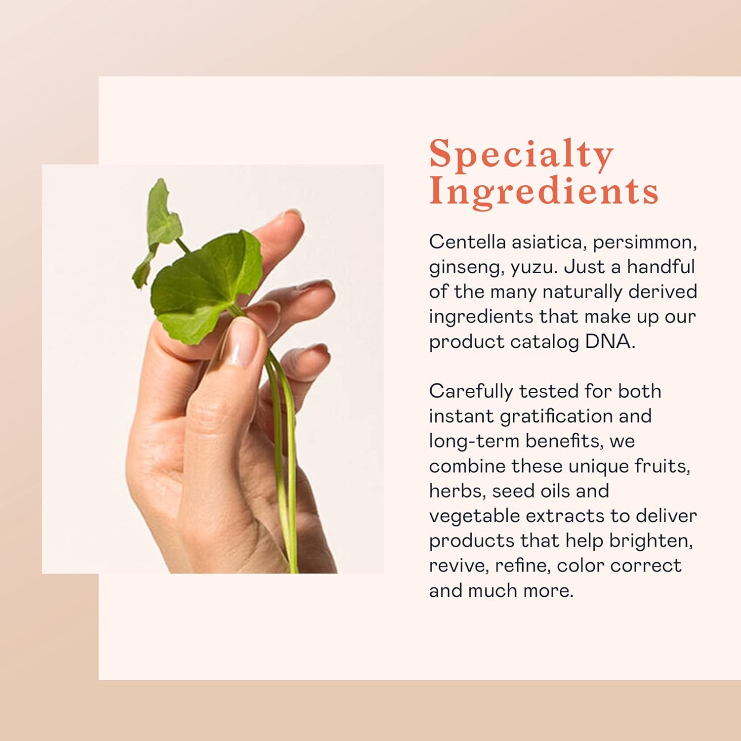 Erborian - Cleansing Oil - Facial Makeup Remover With Hydrating & Soothing Centella Asiatica Extract - Waterproof Purifying Cleanser Removes Excess Sebum & Impurities - Korean Skincare - 6 Fl. Oz : Beauty & Personal Care