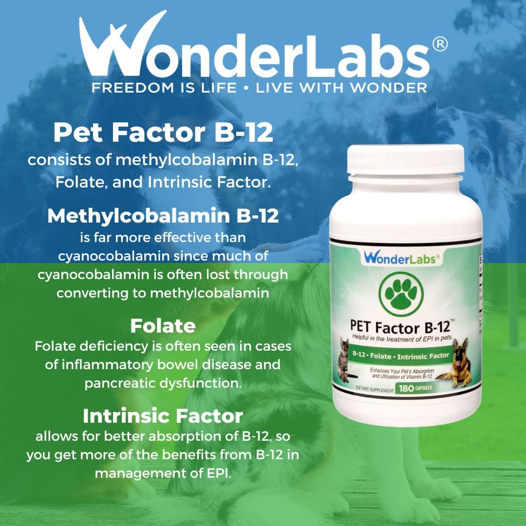 Wonder Laboratories Pet Factor B-12 | Vitamin B-12 in Methylcobalamin Form | Popular in Treatment of EPI in Dogs 180 Capsules : Pet Supplies