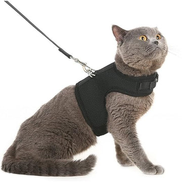 PUPTECK Escape Proof Cat Harness with Leash Adjustable Soft Mesh - Best for Walking