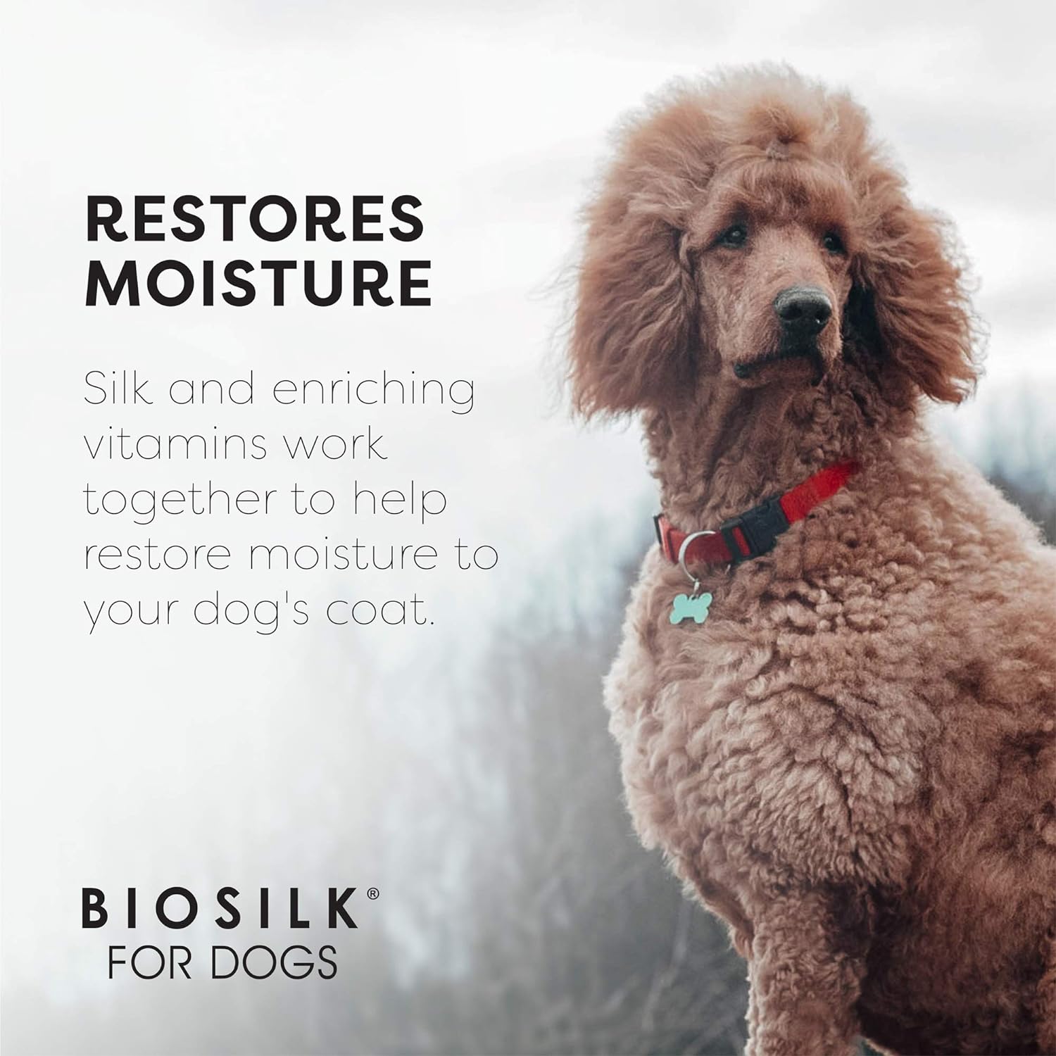 BioSilk for Dogs Silk Therapy Shampoo with Organic Coconut Oil | Coconut Dog Shampoo Waterless Shampoo | Dry Dog Shampoo from Silk Therapy for Fresh Dog Coats,Beige : Everything Else
