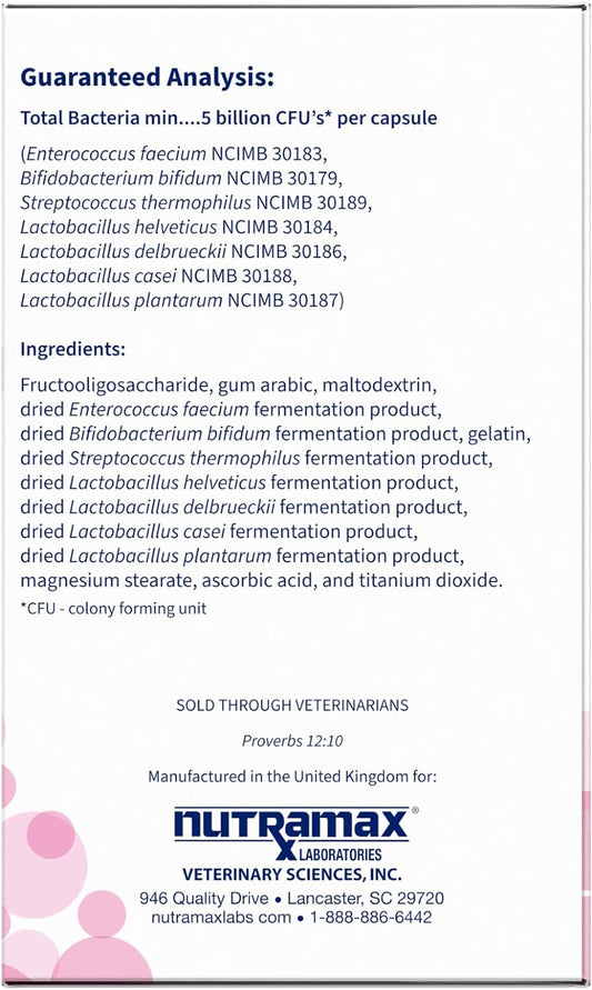 Proviable Digestive Health Supplement Multi-Strain Probiotics And Prebiotics For Cats And Dogs - With 7 Strains Of Bacteria, 80 Capsules