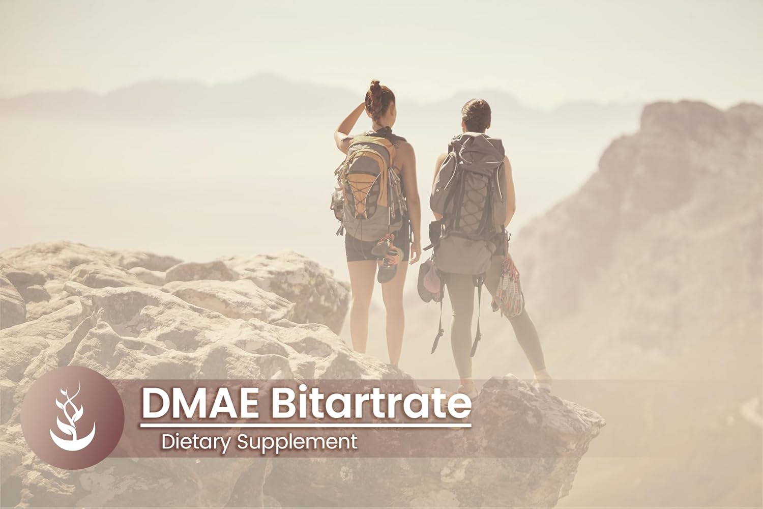 Pure Original Ingredients DMAE Bitartrate, (100 Capsules) Always Pure, No Additives Or Fillers, Lab Verified : Health & Household