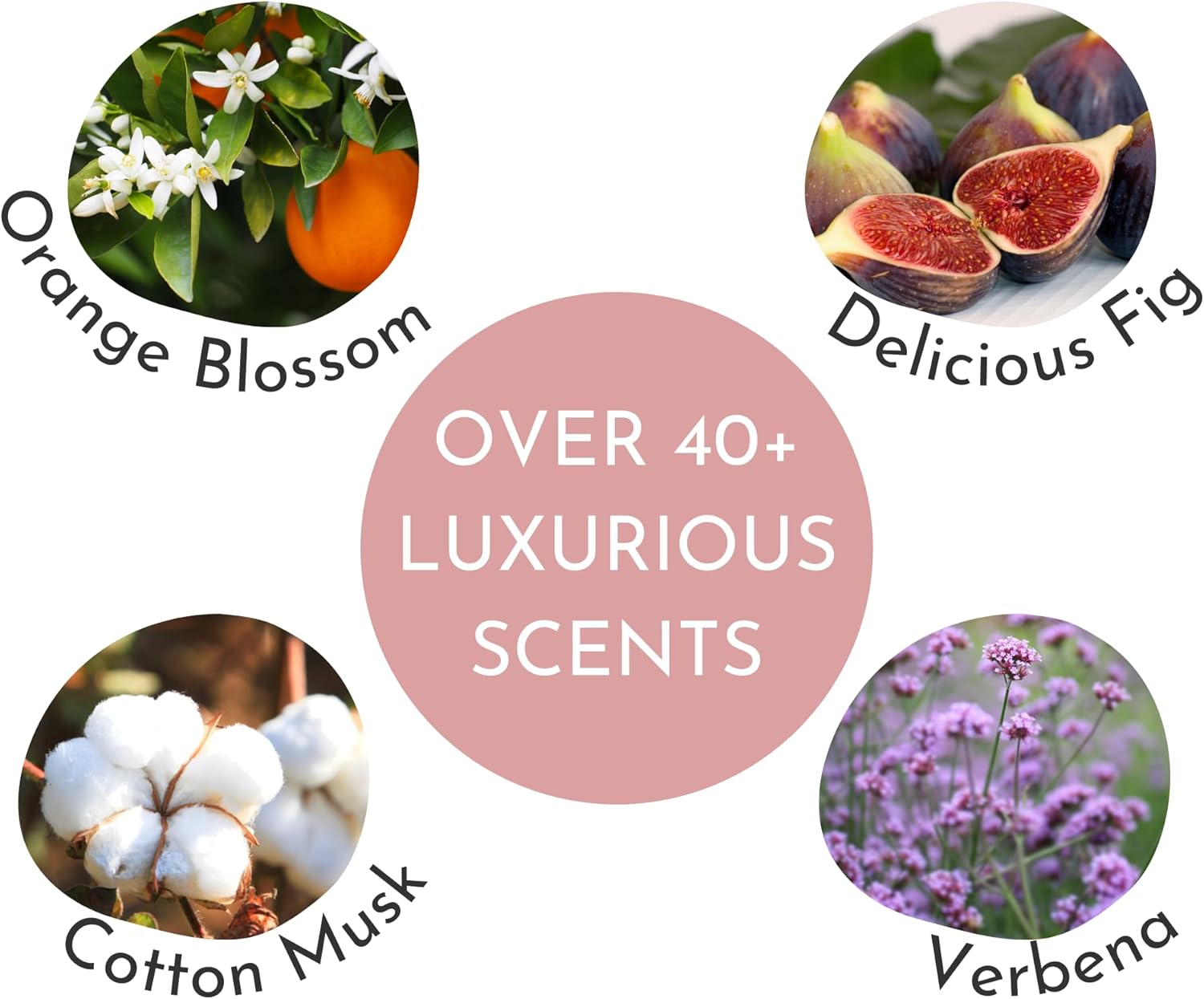 Durance Les Eternelles Moisturising Body Lotion 250ml, Sparkling Verbena Scent - Intensive Moisturiser Enriched With Plant Oils - Fresh & Luscious Texture, No Oily Feeling : Amazon.co.uk: Beauty