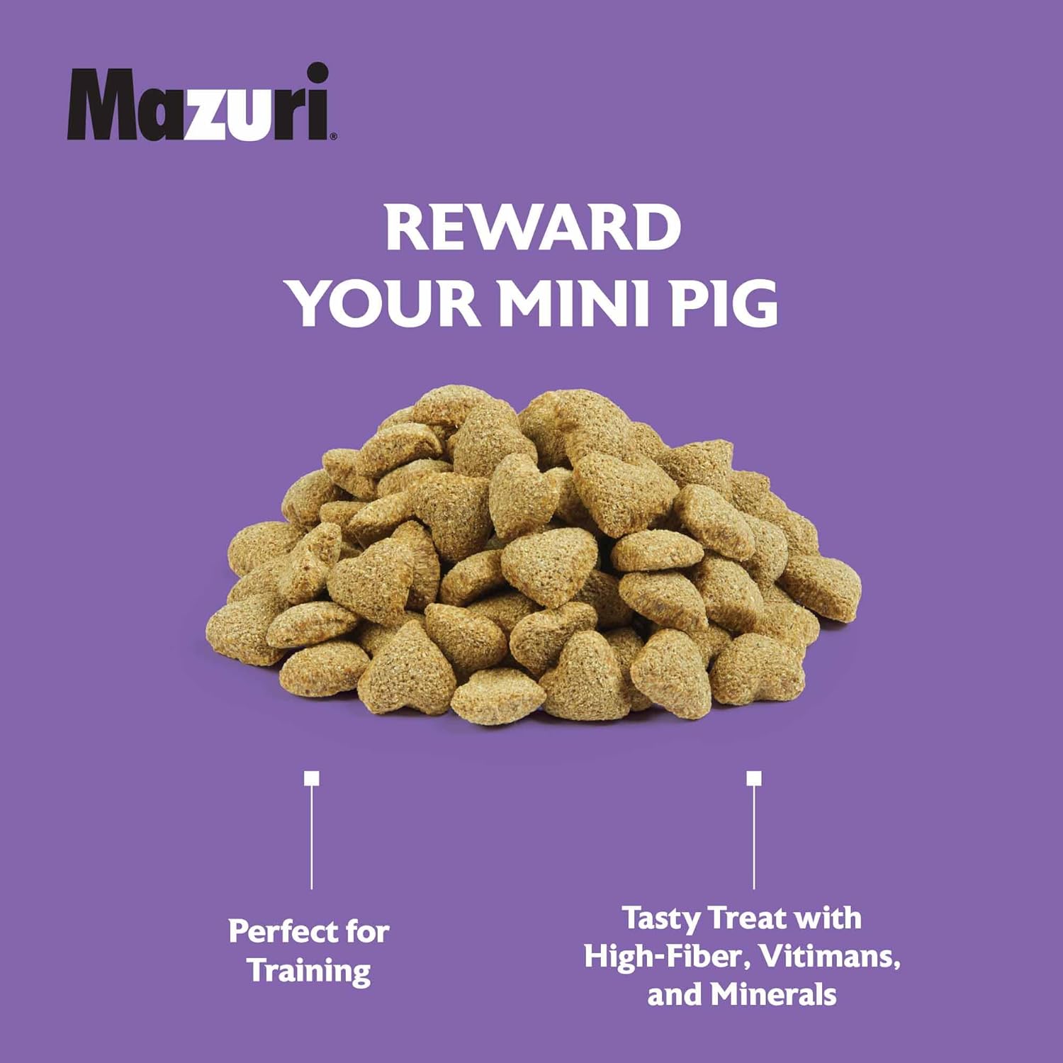 Mazuri® Mini Pig Treats – Oat & Honey, 6 lb. : Pet Supplies