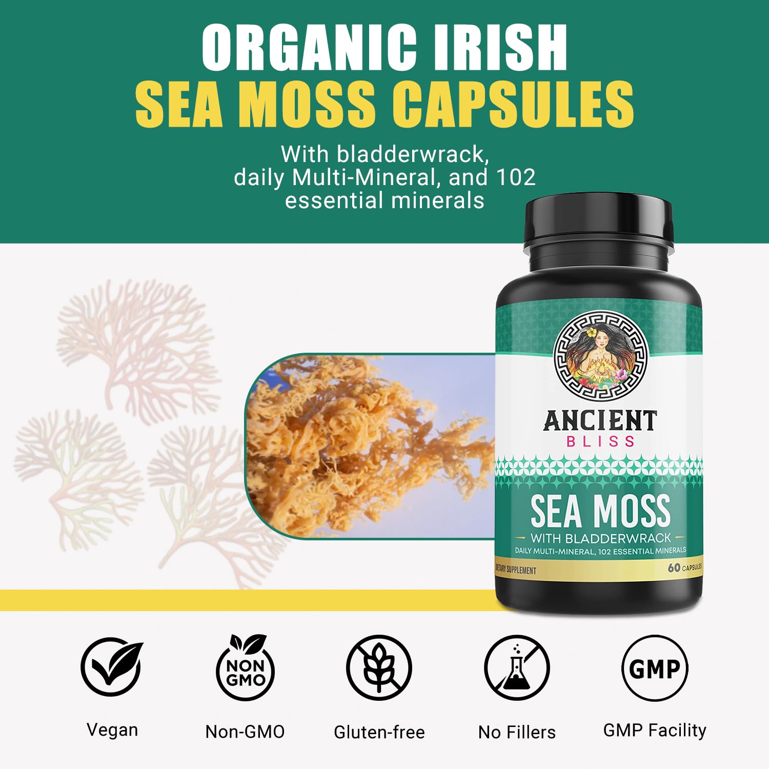 Ancient Bliss Organic Irish Sea Moss Pills - Dr Sebi Wildcrafted Seamoss Capsules | Thyroid, Healthy Skin, Gut & Joint Support | 120 Capsules : Health & Household