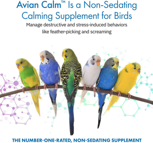 Avian Calm™ Dietary Supplement For Parrots, All-Natural Calming Supplement (120 Servings)