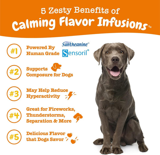 Zesty Paws Calming Flavor Infusions For Dogs - Composure & Relaxation For Everyday Stress & Separation - With Ashwagandha, Melatonin, L-Theanine & L-Tryptophan - 16 Fl Oz