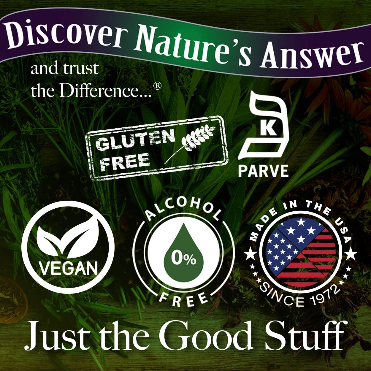 Nature's Answer Alcohol-Free Sambucus Immune Support, 8 Fluid Ounce - Made from 12,000 mg Black Elderberry, Infused with Echinacea and Astragalus Zinc and Vitamin C : Health & Household