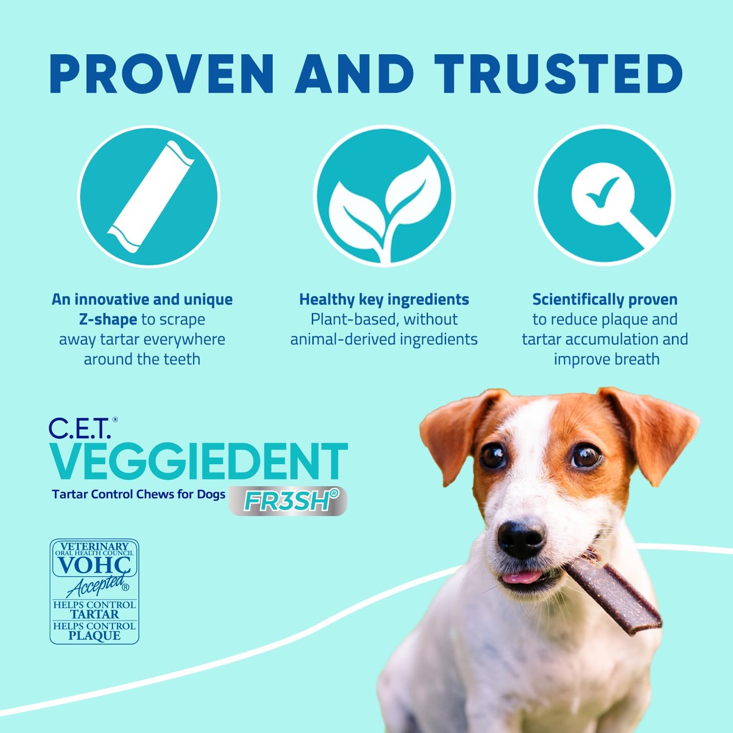 Virbac CET Veggiedent FR3SH Tartar Control Chews for Dogs, Medium (Pack of 30) : Pet Supplies