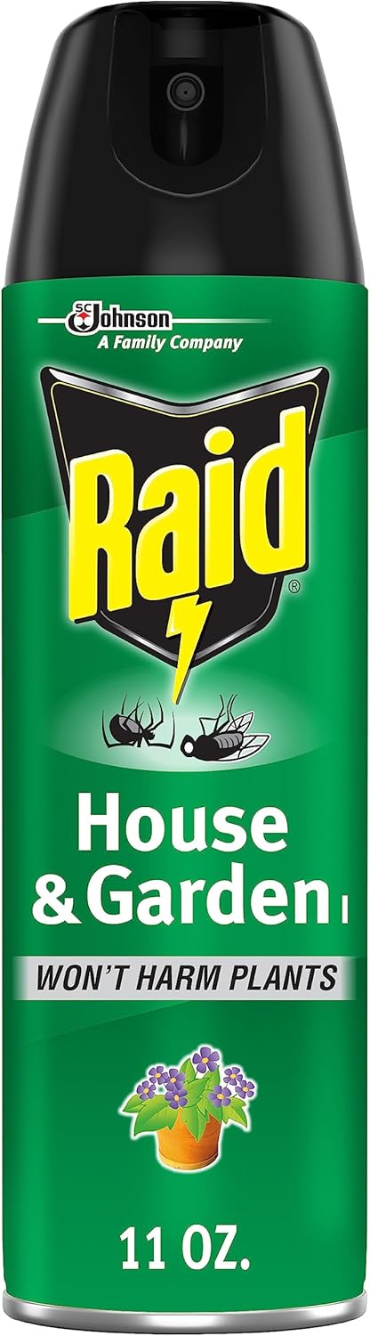 Raid House & Garden Insect Killer Spray, Orange Scent 11 Ounce (Pack Of 1)