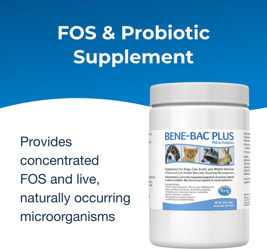 Pet-Ag Bene-Bac Plus - 1 lb Powder - FOS & Probiotics for Dogs, Cats, Exotic & Wildlife Mammals