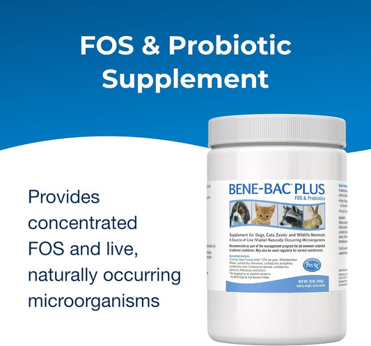 Petag Bene-Bac Plus - 1 Lb Powder - Fos & Probiotics For Dogs, Cats, Exotic & Wildlife Mammals