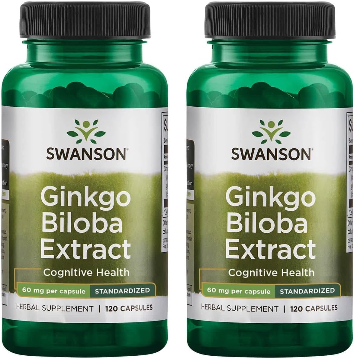 Swanson Ginkgo Biloba Extract 24% 60 Milligrams 120 Capsules (2 Pack)