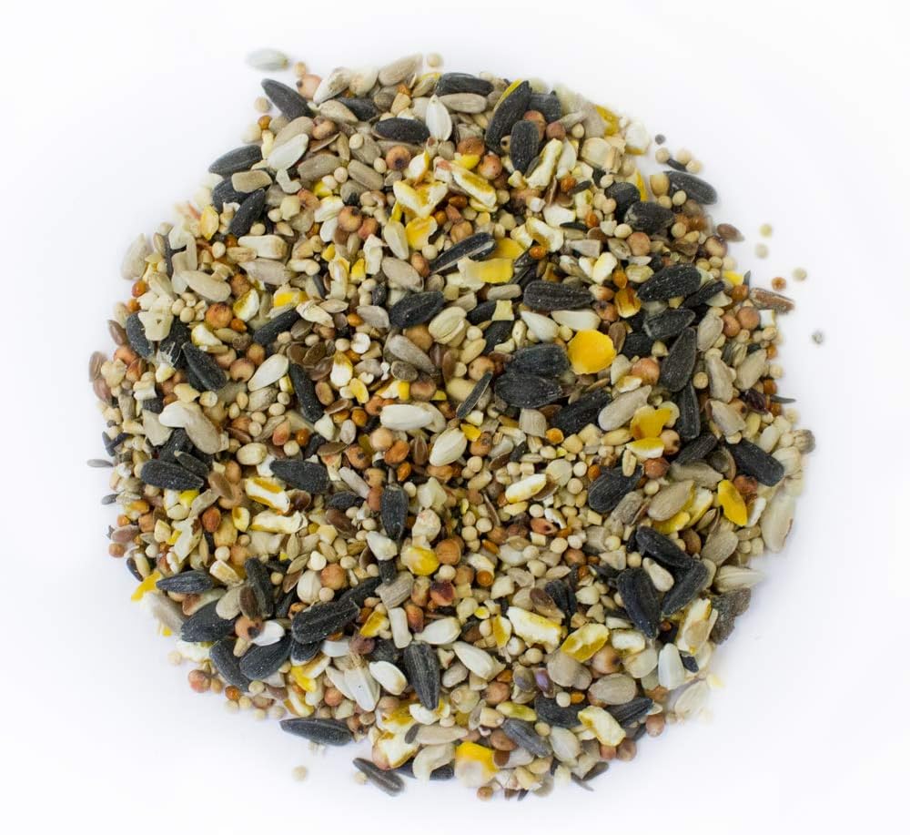 Extra Select No Wheat Wild Bird Food: Wheat Free Bird Seed for All Seasons, mixed Bird Feed - 2kg :Garden