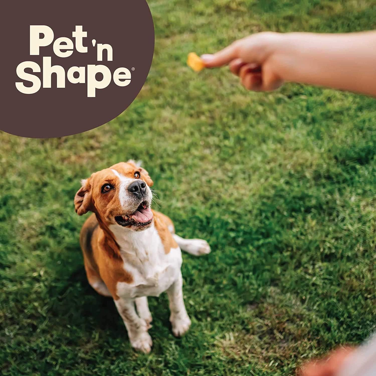 Pet 'n Shape Chik 'n Sweet Potato Stix Dog Treats – Made and Sourced in the USA - 14 Ounce : Pet Supplies