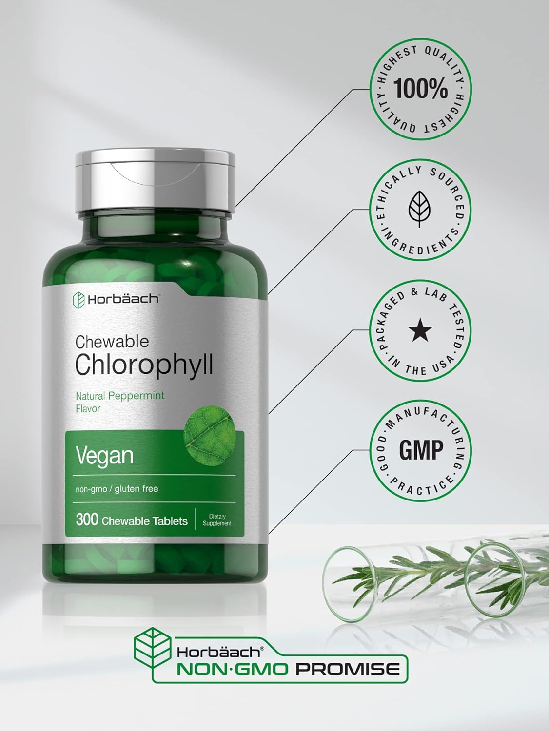 Horbäach Chlorophyll Tablets | 300 Chewables | Natural Peppermint Flavor | Vegan, Non-GMO & Gluten Free : Health & Household