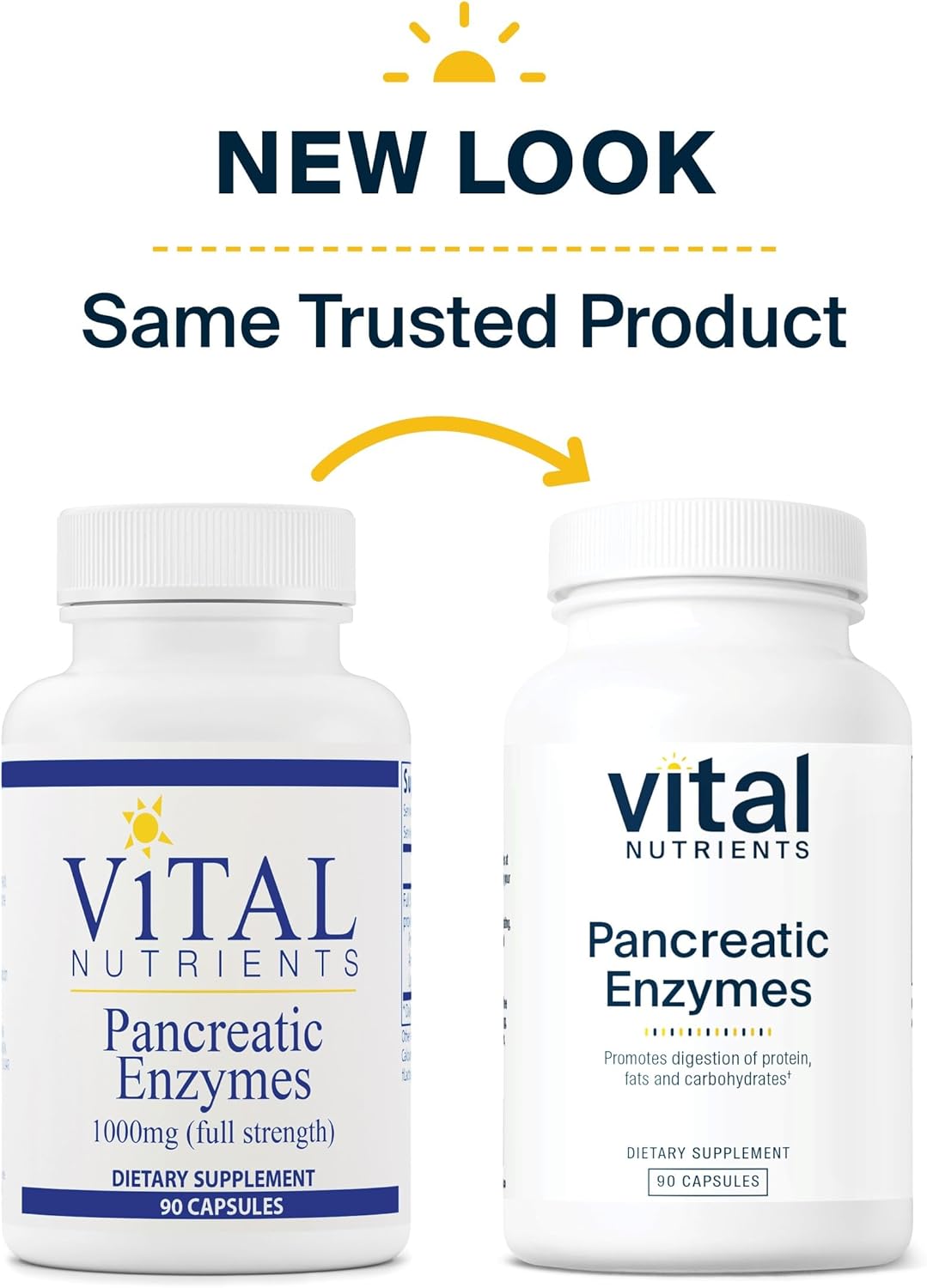 Vital Nutrients Pancreatic Enzymes 1000mg (Full Strength) | Pancreatin Digestion Supplement with Protease, Amylase & Lipase | Digestive Enzymes | Gluten, Dairy, and Soy Free | 90 Capsules : Health & Household