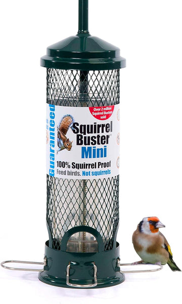 Jacobi Jayne SB-M Squirrel Proof Bird Feeder - Squirrel Buster Mini - Marauders off! Guaranteed Squirrel Proof/Metal, Green?SB-M